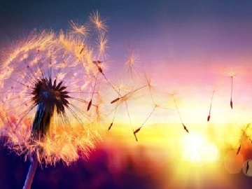 北交所IPO的联川生物去年营收增长28%：2家可比公司下滑 研发人员降薪其他人员涨薪